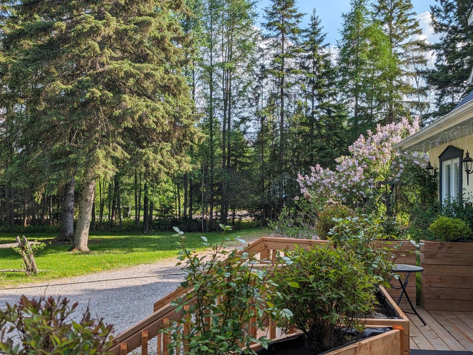 La Tremblante Bed & Breakfast Mont-Tremblant Exterior photo