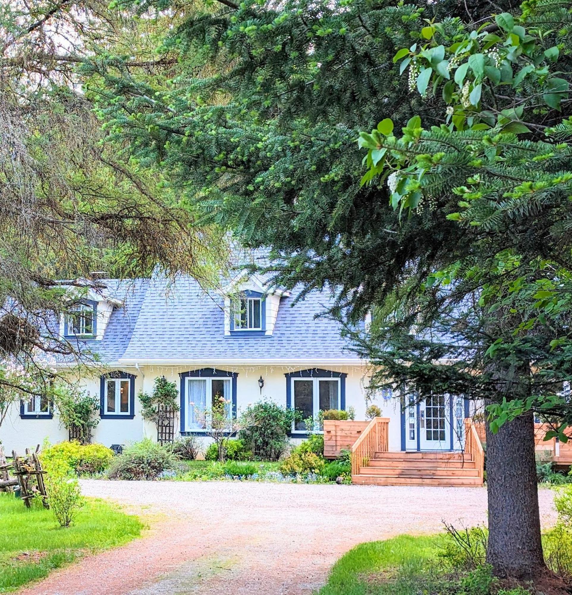 La Tremblante Bed & Breakfast Mont-Tremblant Exterior photo